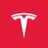 Tesla Asia